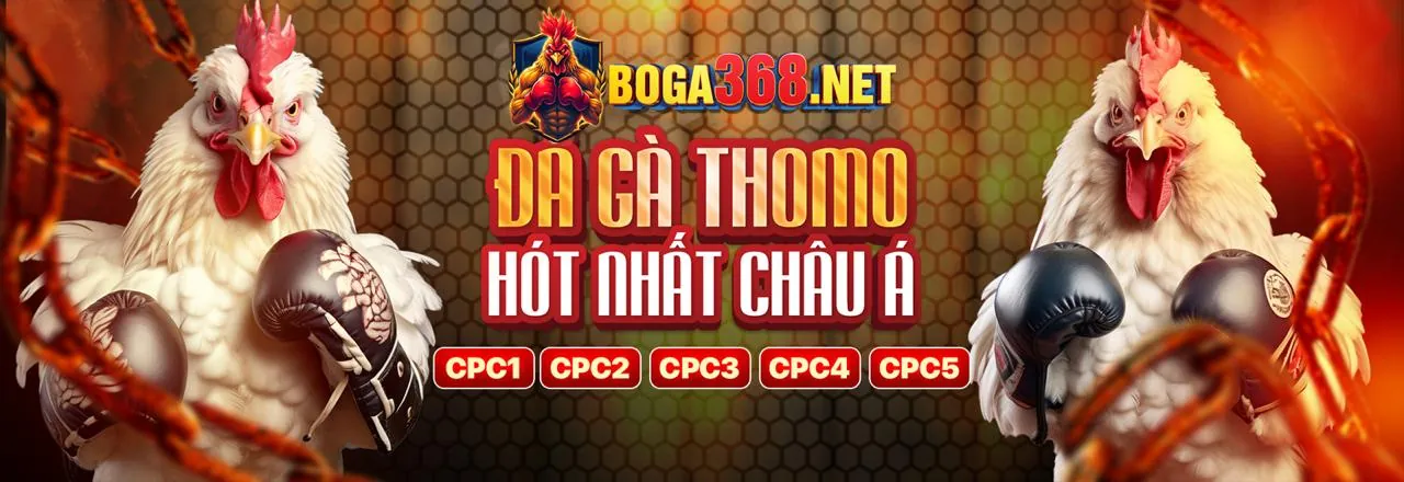 Đá gà trực tuyến fcb8 bet với hình ảnh chiến kê dũng mãnh, nền xanh lá cây và vàng chủ đạo, thể hiện sự kịch tính và chiến thắng.